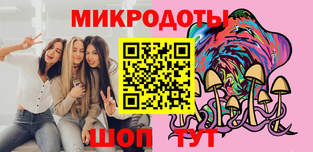 Галлюциногенные грибы Psilocybine cubensis Урус-Мартан