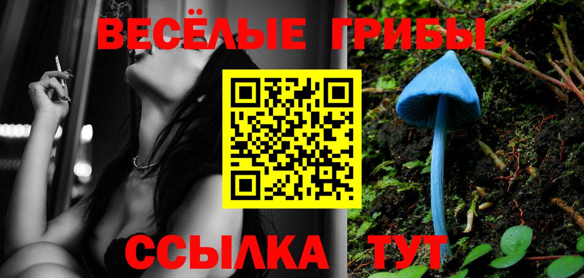 Псилоцибиновые грибы Psilocybine cubensis  Вход с VPN  сколько стоит  Урус-Мартан 